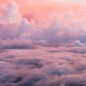 Meet your Posher, Zoe